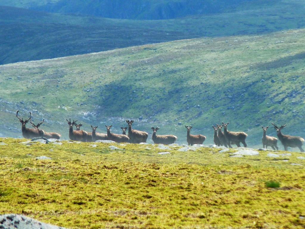 Braemar Youth Hostel エクステリア 写真